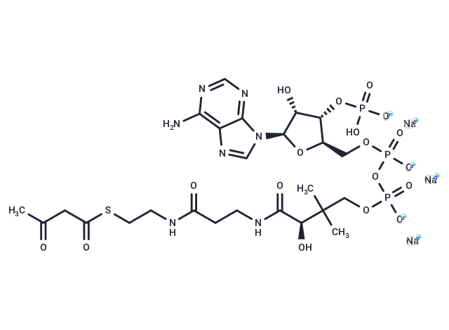 Acetoacetyl coenzyme A sodium [102029-52-7]