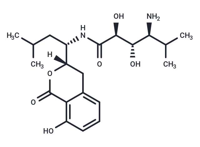 Y 05460M-A
