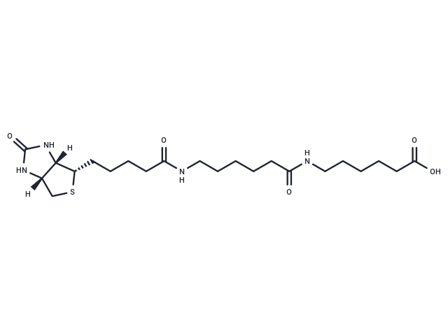 Biotin-C5-amino-C5-amino