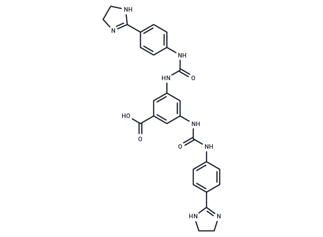 NCI-B16
