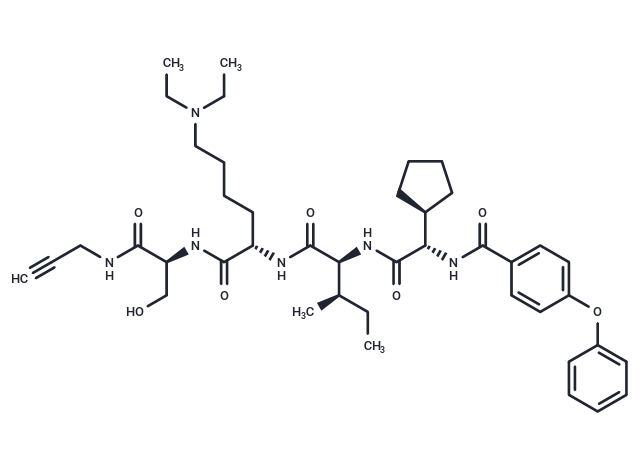 SW2_110A