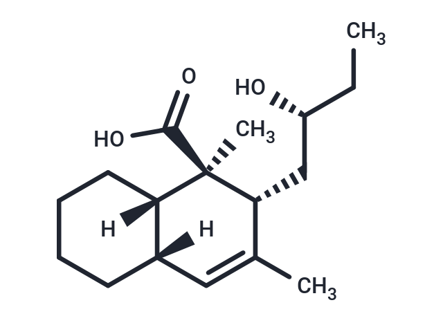 PI 201