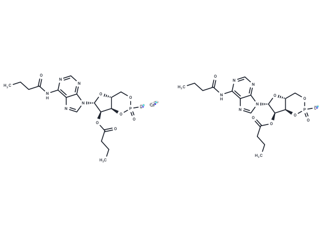 Bucladesine calcium