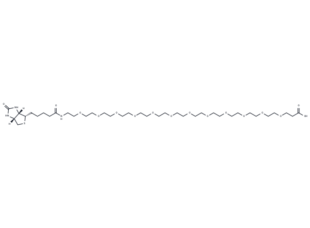 Biotin-PEG12-acid