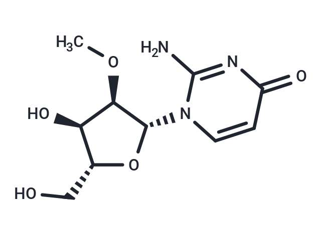 2'-O-Methyl isocytidine