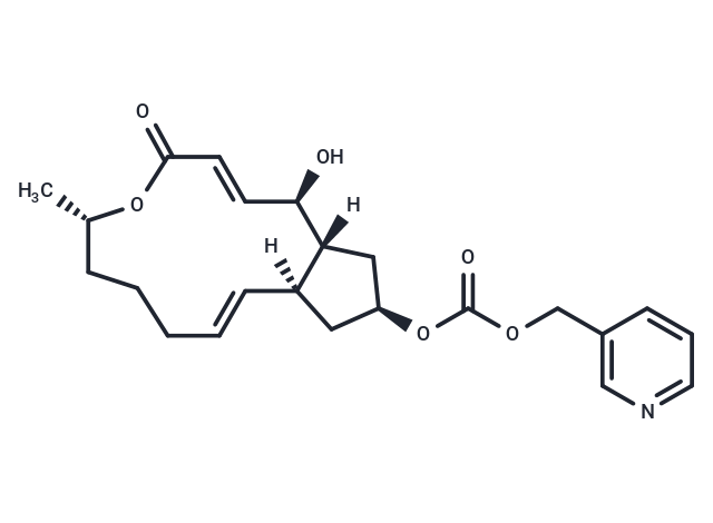 CHNQD-01255