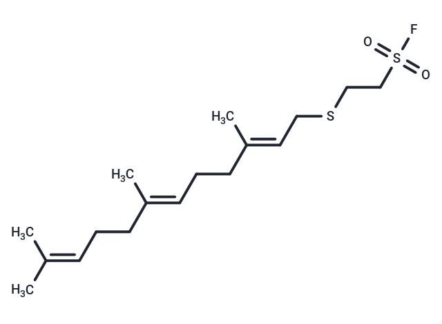 PMPMEase-IN L-28