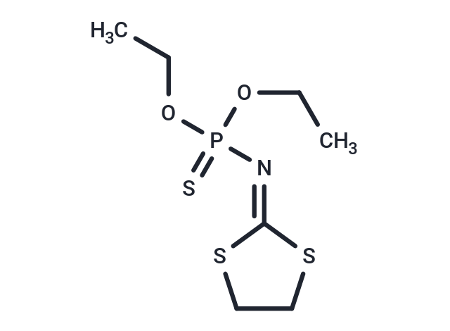 Cyloone