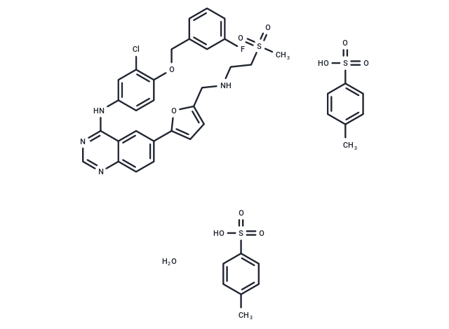 Lapatinib ditosylate monohydrate [388082-78-8]