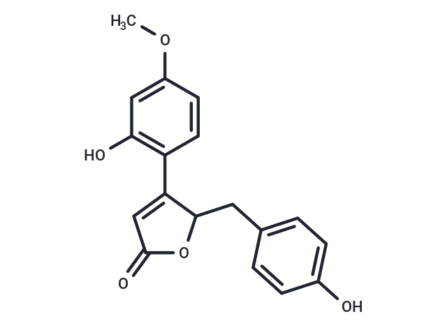 Puerol B