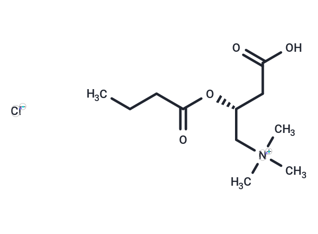 Butyryl-L-carnitine (chloride) [162067-50-7]