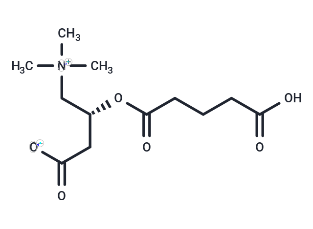 Glutarylcarnitine (Standard)