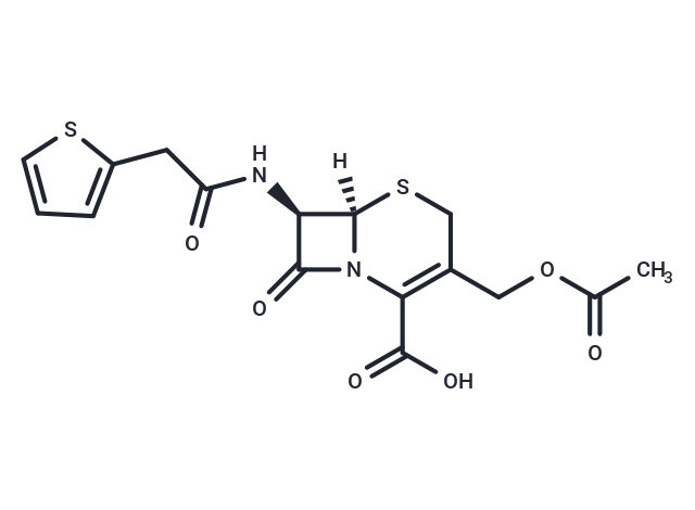 Cephalothin
