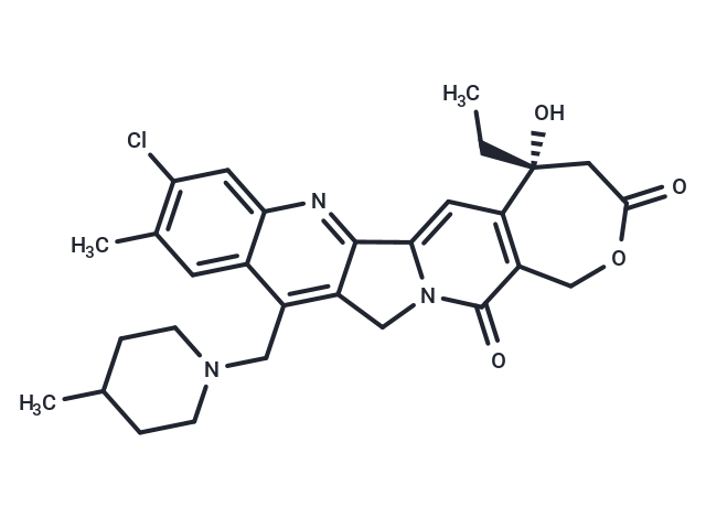 Elomotecan