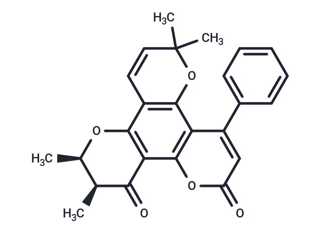 Inophyllum E