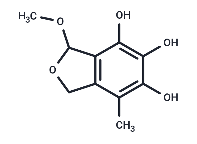 FR-202306