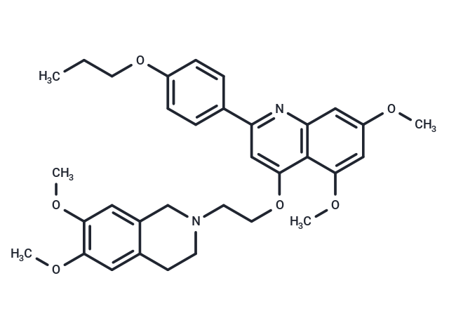 SARS-CoV-2-IN-19