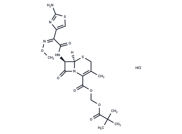 Cefetamet pivoxil hydrochloride [111696-23-2]