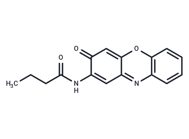 Questiomycin A derivatives 12