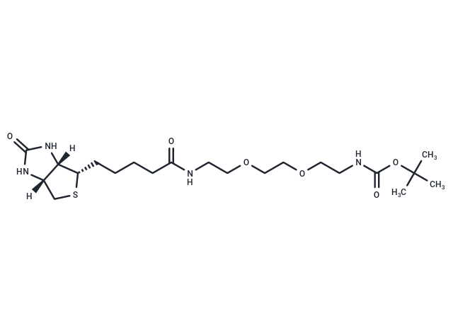 Biotin-PEG2-NH-Boc
