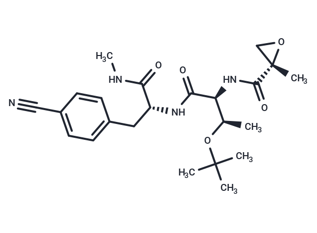 BTK-IN-5 [2145152-06-1]