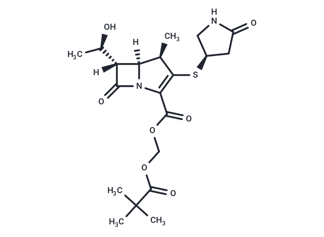CS 834