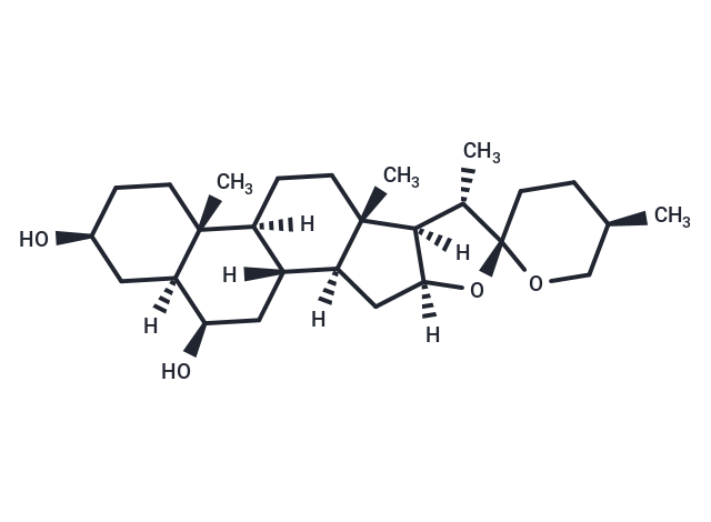 Ruizgenin
