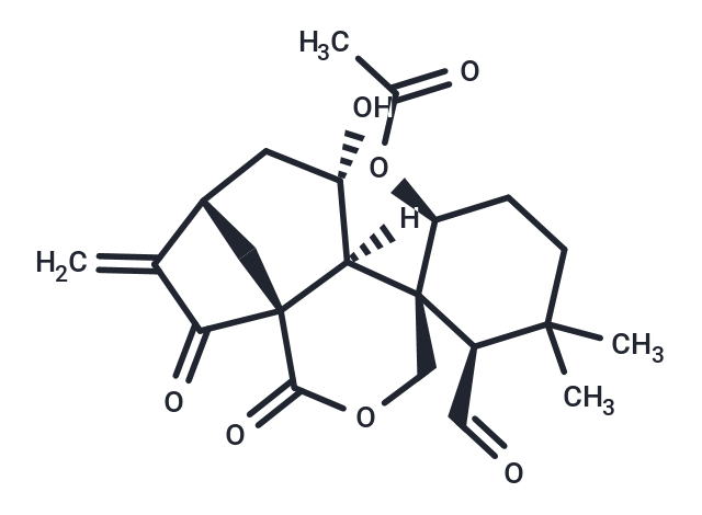 Isodonal