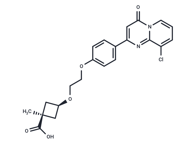 HBV-IN-14