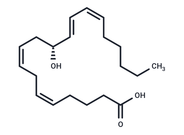 11(R)-HETE
