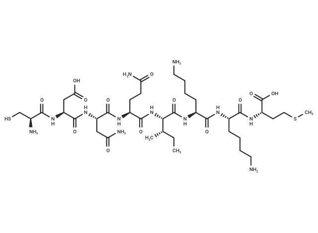 P34cdc2 Kinase Fragment