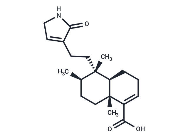 Echinophyllin C [310433-44-4]