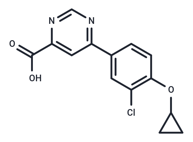 CHDI340246