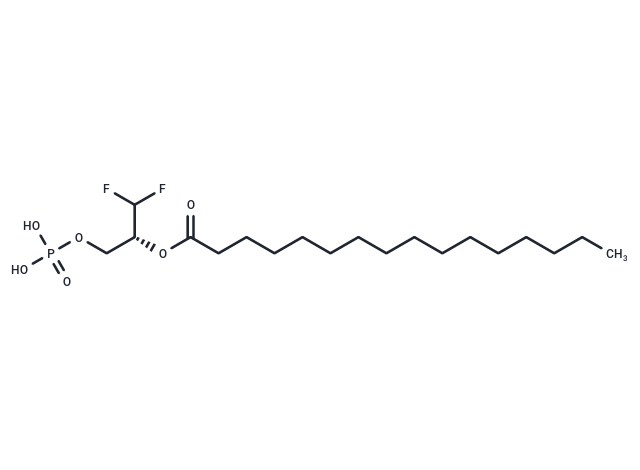 XY-4