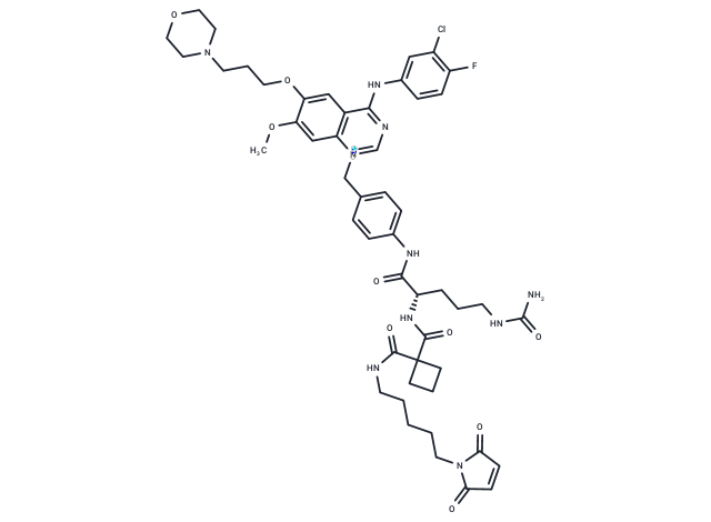 MC-Sq-Cit-PAB-Gefitinib