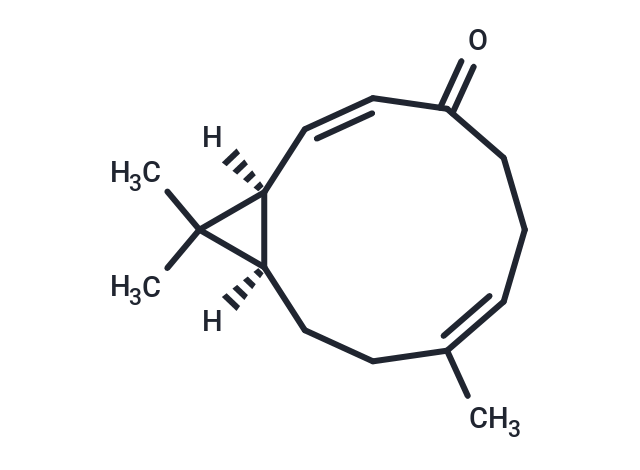 Kissoone A