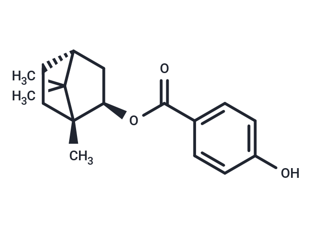 Isotschimgin