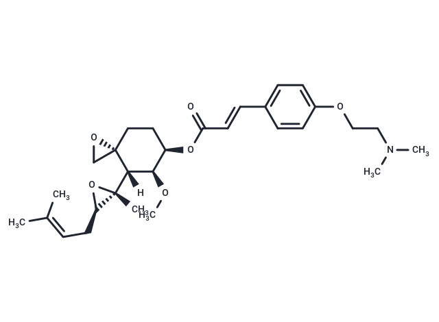 Beloranib