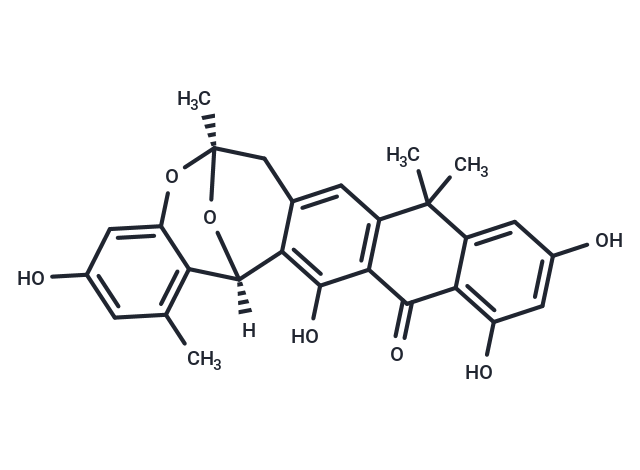 BE-24566B