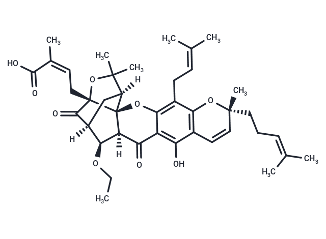 Gambogic acid B