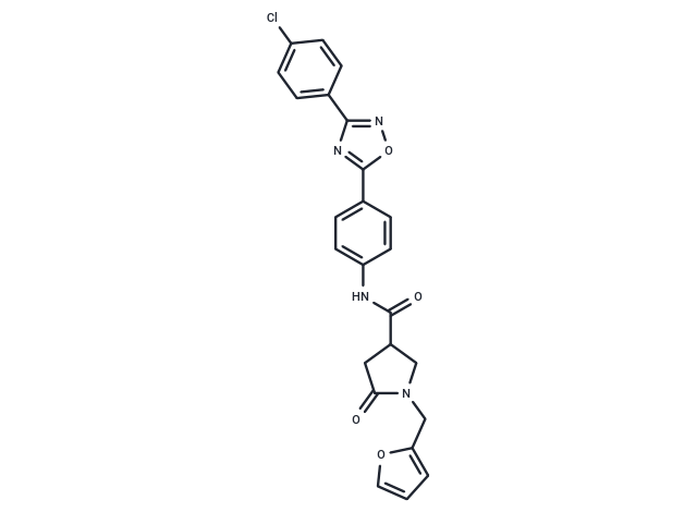 RLX-33