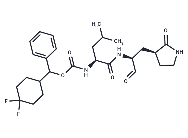 SARS-CoV-2-IN-10