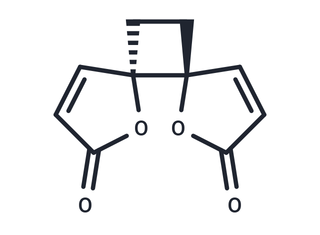Anemonin (6CI)