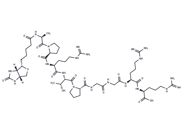 Biotin-myelin basic protein (94-102)