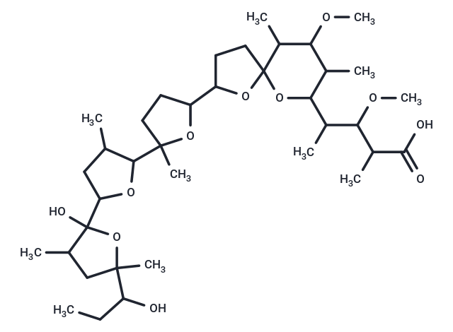 Kijimicin
