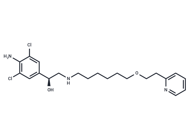 (+)-Picumeterol [139423-79-3]