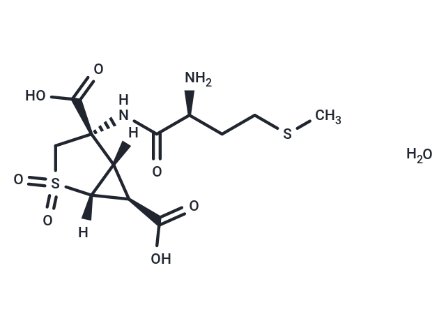 Pomaglumetad methionil