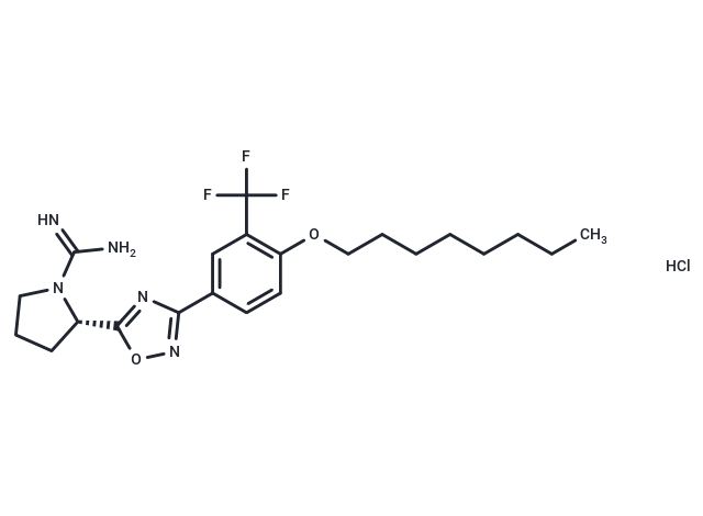SLM6031434 HCl