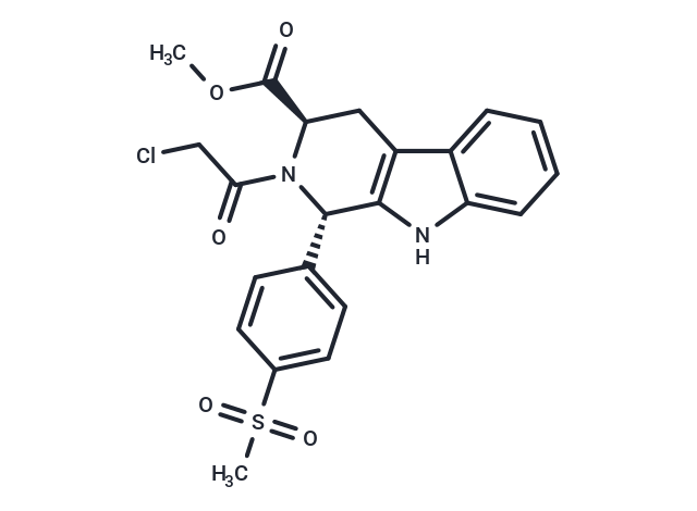 GPX4 24