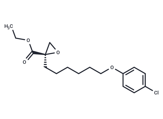 Etomoxir